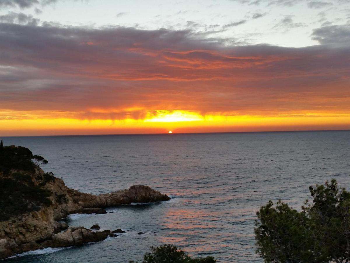 Pola Giverola Camp Tossa de Mar Eksteriør billede