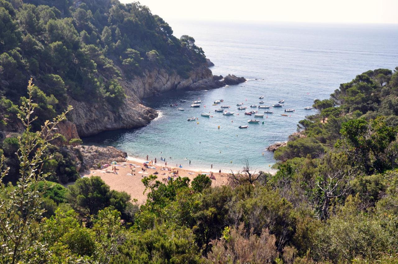 Pola Giverola Camp Tossa de Mar Eksteriør billede