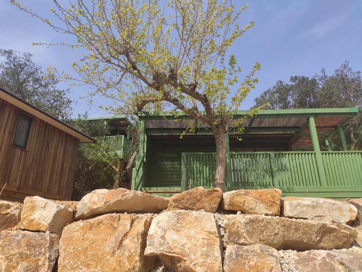 Pola Giverola Camp Tossa de Mar Eksteriør billede