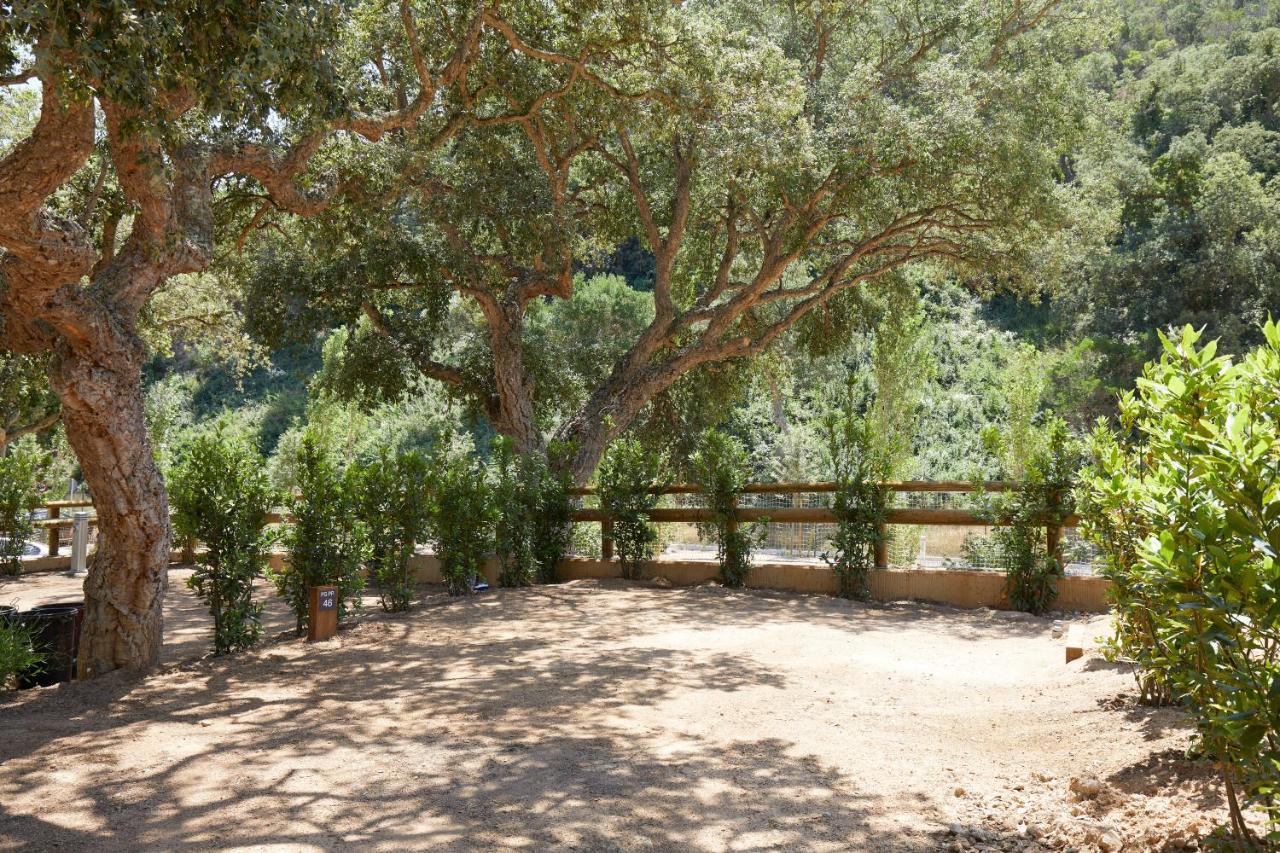 Pola Giverola Camp Tossa de Mar Eksteriør billede