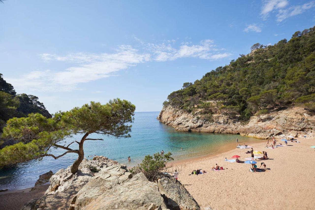 Pola Giverola Camp Tossa de Mar Eksteriør billede
