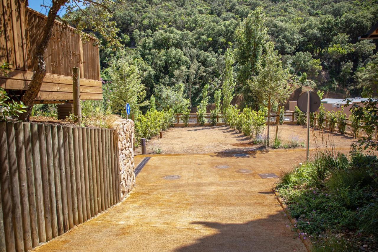 Pola Giverola Camp Tossa de Mar Eksteriør billede