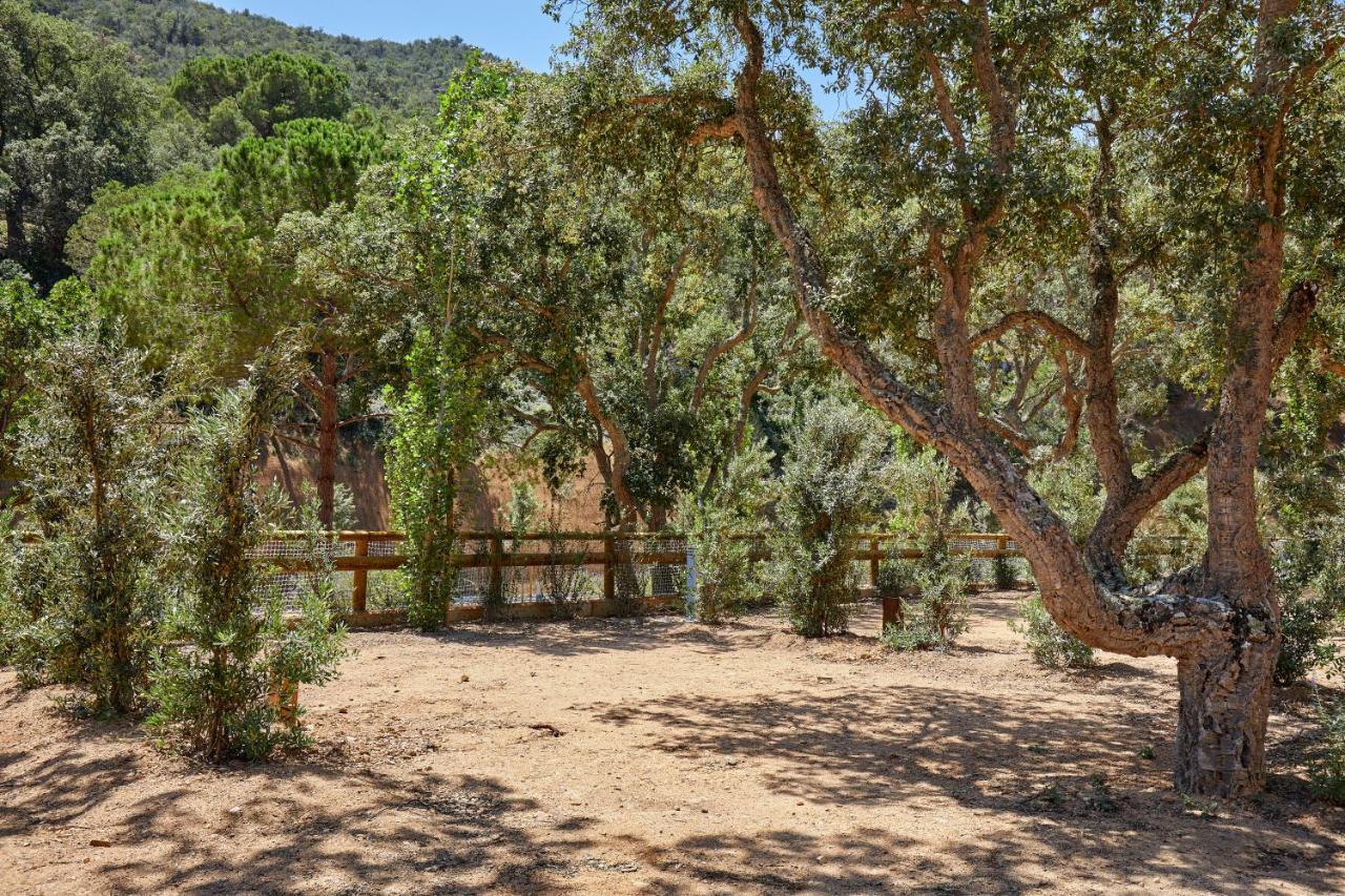 Pola Giverola Camp Tossa de Mar Eksteriør billede