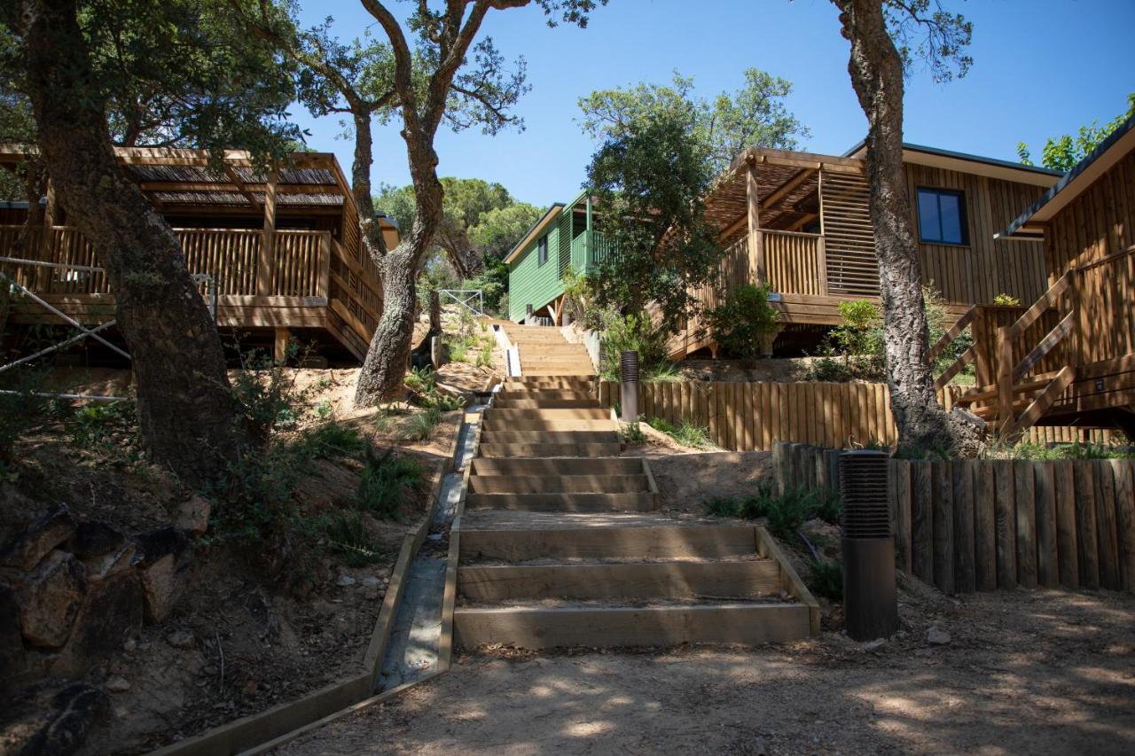 Pola Giverola Camp Tossa de Mar Eksteriør billede