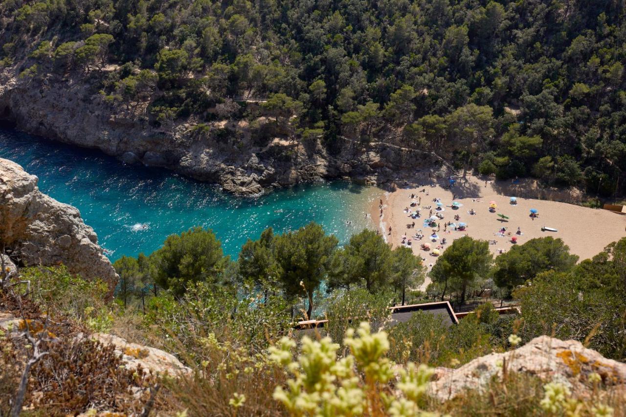 Pola Giverola Camp Tossa de Mar Eksteriør billede