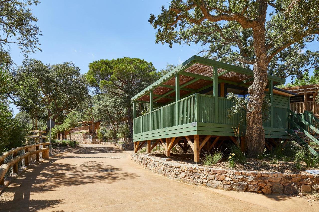 Pola Giverola Camp Tossa de Mar Eksteriør billede